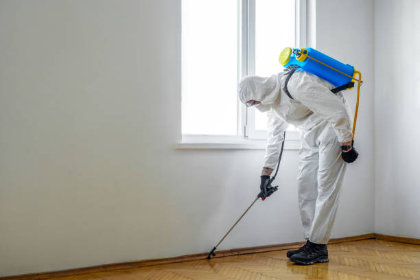 Best Indoor Pest Control  in Jerome, IL